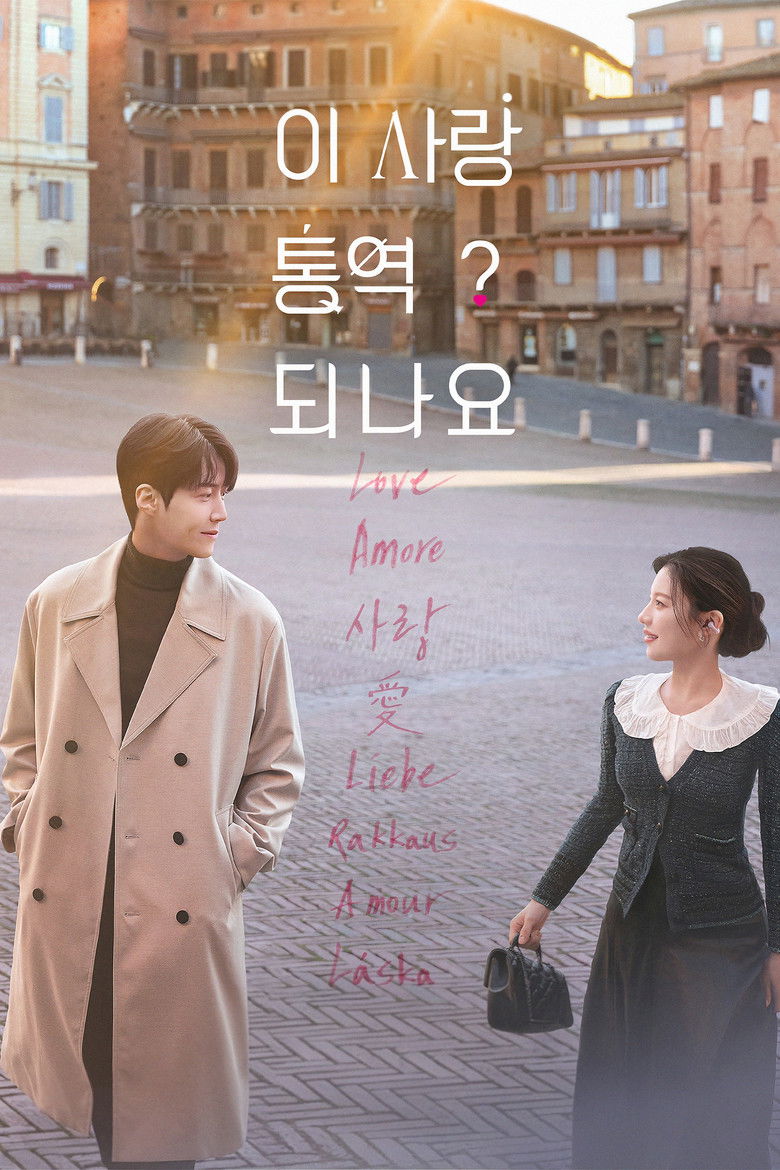 Póster de ¿Cómo se traduce este amor?