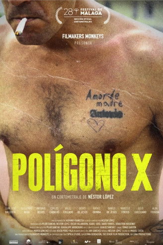 Póster de Polígono X