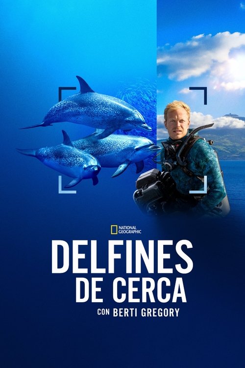 Póster de Delfines en primer plano con Bertie Gregory